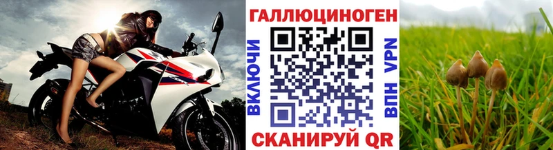 Псилоцибиновые грибы мухоморы  Купить где  Катав-Ивановск 